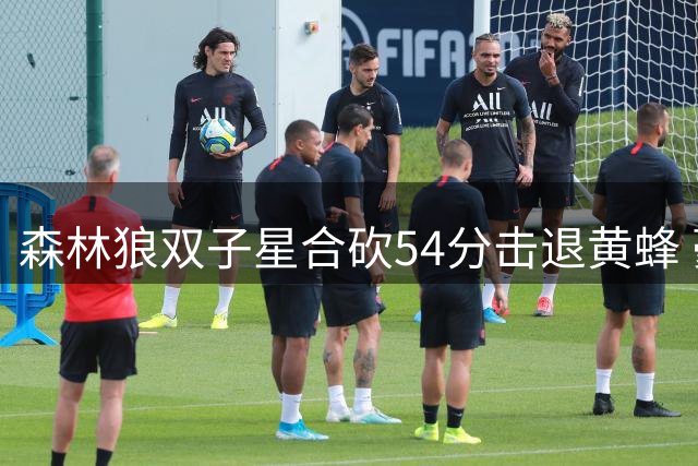 森林狼双子星合砍54分击退黄蜂 豪取四连胜稳居西部榜首